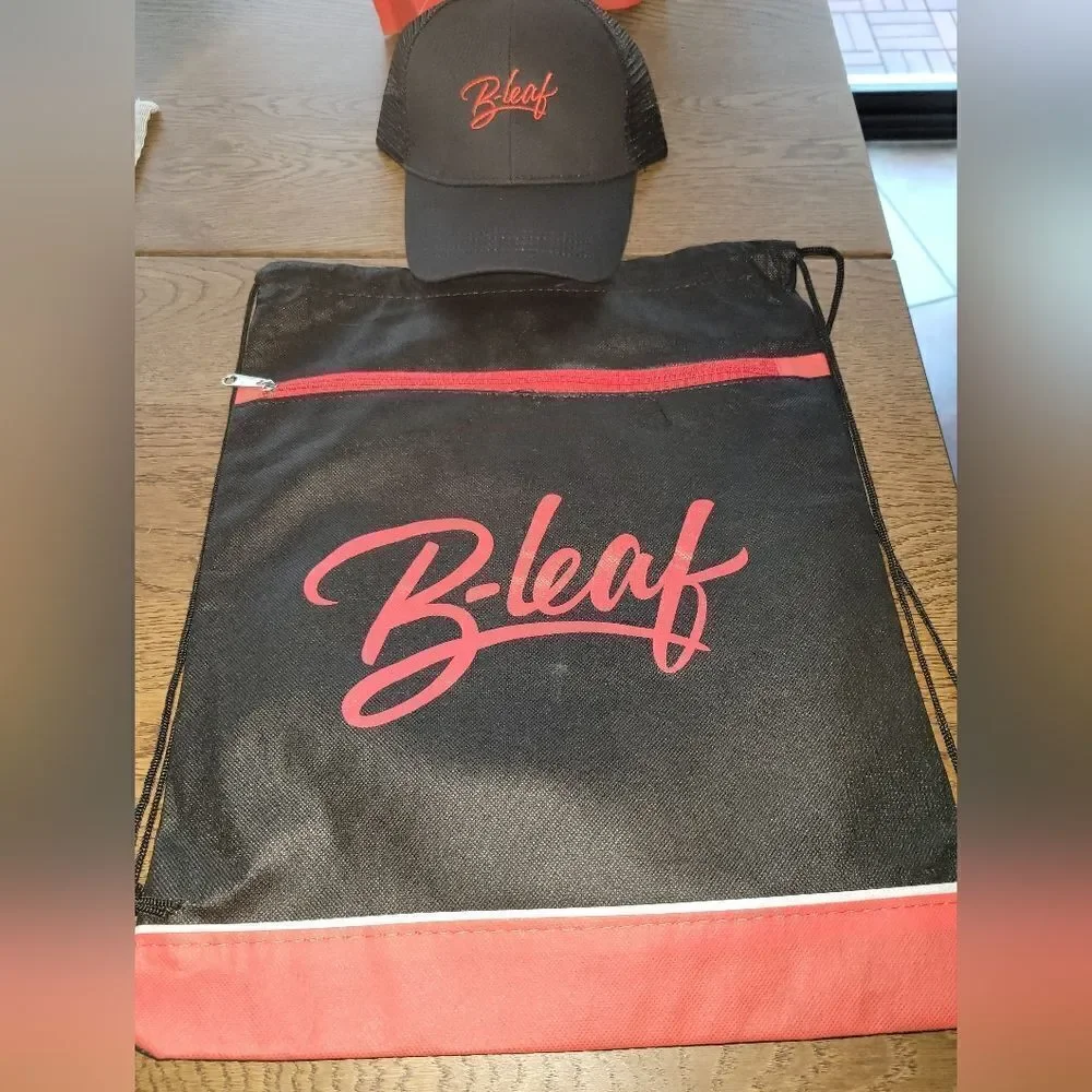 backpack and snapback Hat
